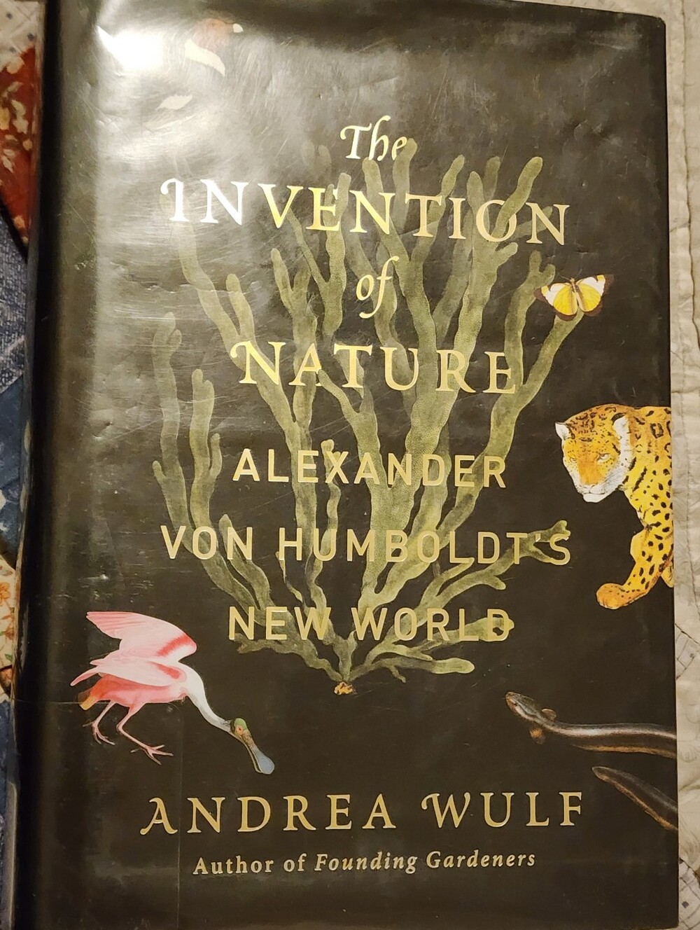 The Invention Of Nature Alexander Von Humboldt's New World By Andrea Wulf